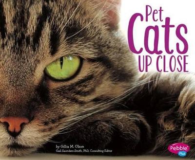 Pet Cats Up Close book