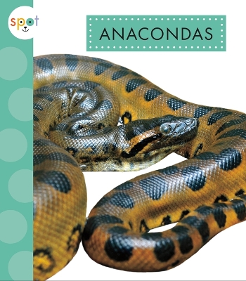 Anacondas book