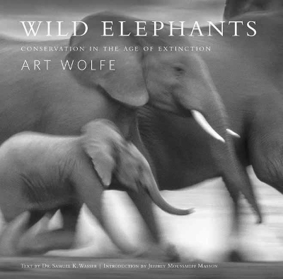 Wild Elephants book
