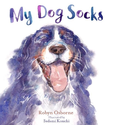 My Dog Socks book