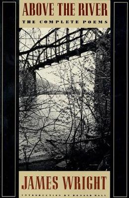 Above the River book