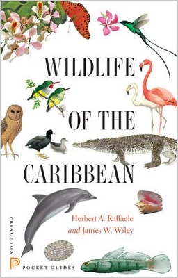 Wildlife of the Caribbean book