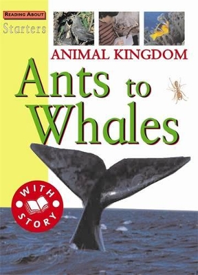 Animal Kingdom by Sally Hewitt