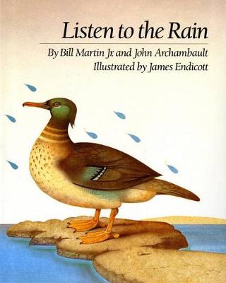 Listen to the Rain book