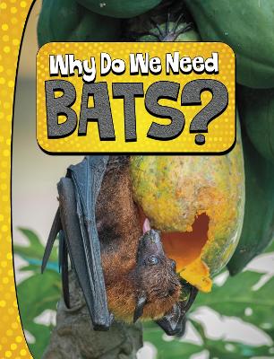 Why Do We Need Bats? by Laura K Murray
