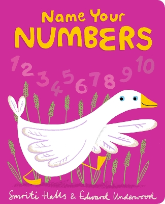 Name Your Numbers book