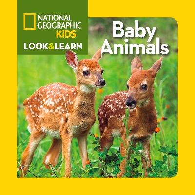 Look and Learn: Baby Animals (Look&Learn) book