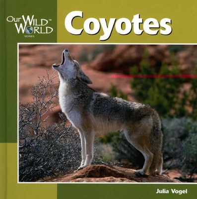 Coyotes by Julia Vogel