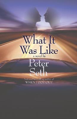 What It Was Like: A Novel of Love and Consequence book