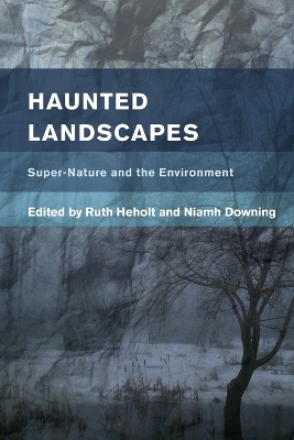 Haunted Landscapes book