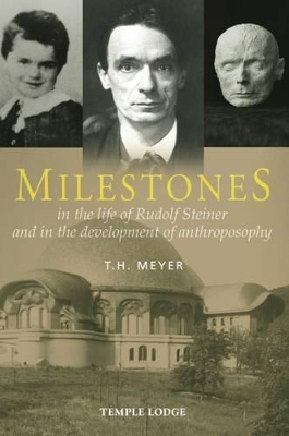 Milestones book