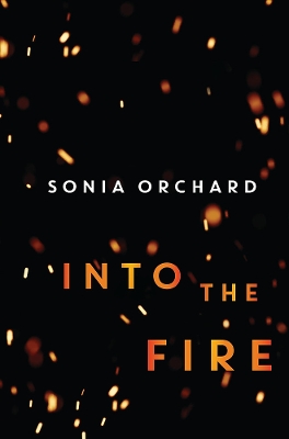 Into the Fire book
