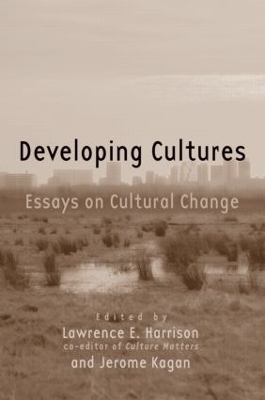 Developing Cultures book