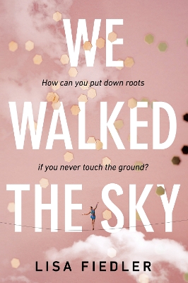 We Walked the Sky book