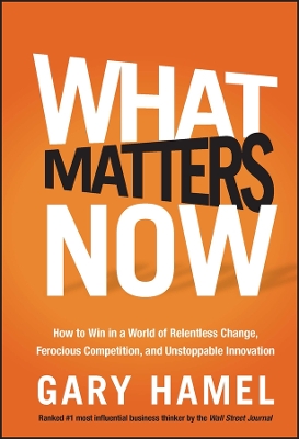 What Matters Now book