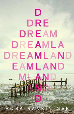 Dreamland: An Evening Standard 'Best New Book' of 2021 book