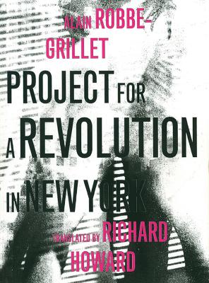 Project for a Revolution in New York book