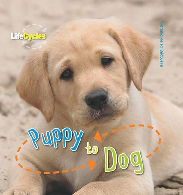 Life Cycles: Puppy to Dog book