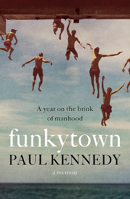 Funkytown book