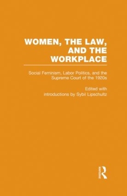 Social Feminism, Labor Politics, and the Supreme Court of the 1920s book