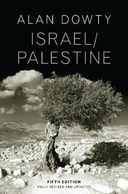 Israel / Palestine by Alan Dowty