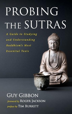 Probing the Sutras book