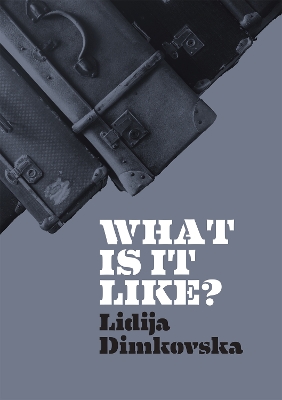 What Is It Like? book