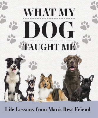 WHAT MY DOG TAUGHT ME CARD PACK book