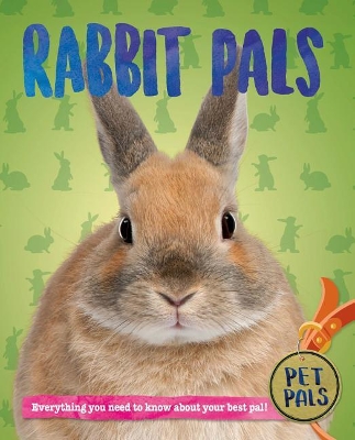 Rabbit Pals by Pat Jacobs