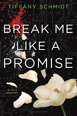 Break Me Like a Promise book