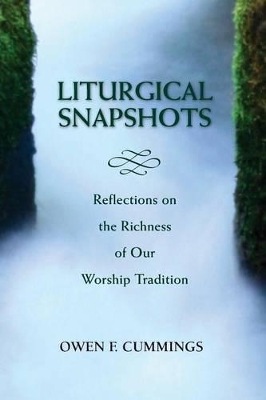 Liturgical Snapshots book