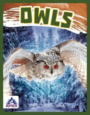 Birds of Prey: Owls book