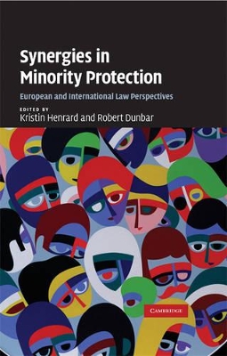 Synergies in Minority Protection book