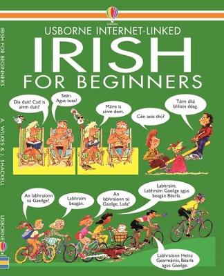 Irish for Beginners book