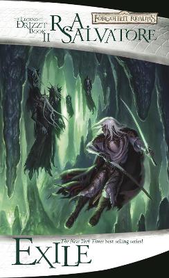 Drizzt 002 book