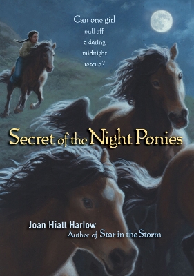 Secret of the Night Ponies book