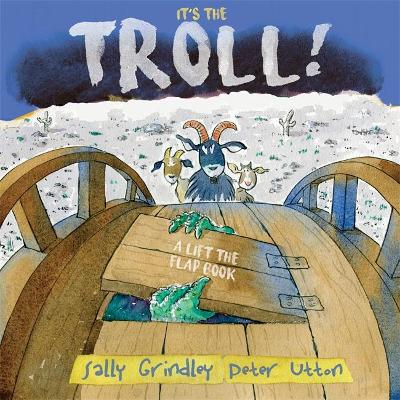 It's the Troll by Sally Grindley
