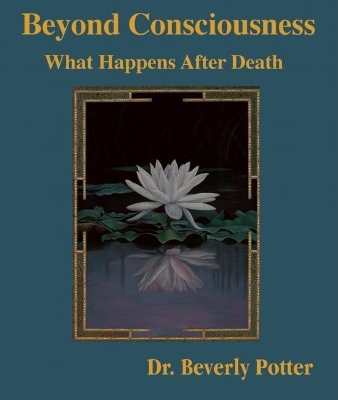 Beyond Consciousness: What Happens After Death book