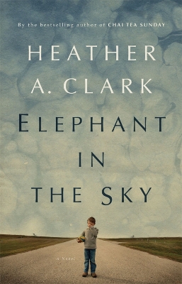 Elephant In The Sky book