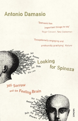 Looking For Spinoza book