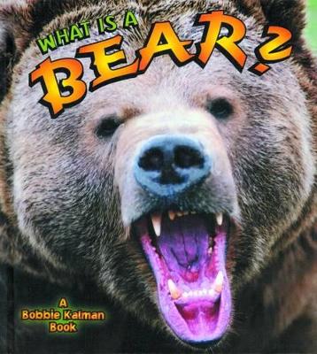 What is a Bear? book