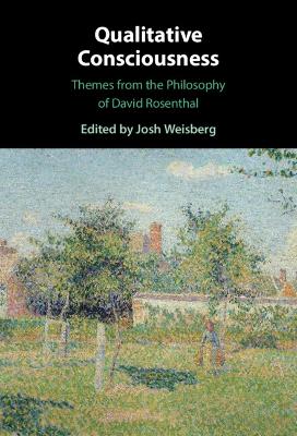 Qualitative Consciousness: Themes from the Philosophy of David Rosenthal by Josh Weisberg