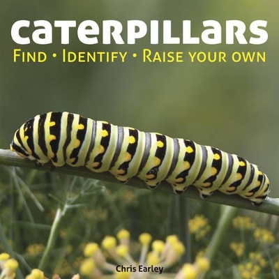 Caterpillars book