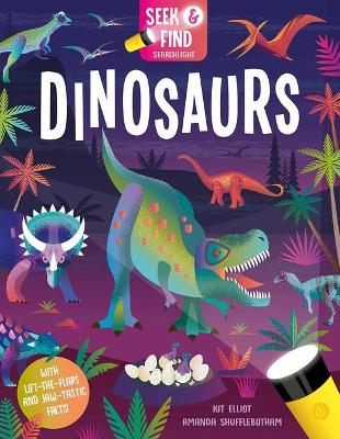 Seek and Find Dinosaurs book