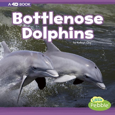 Bottlenose Dolphins by Kathryn Clay