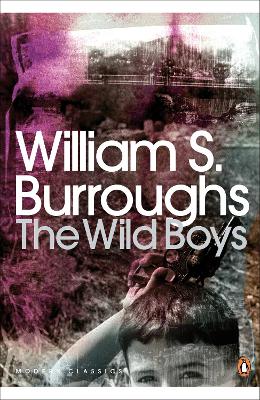 Wild Boys book