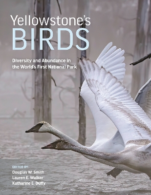 Yellowstone’s Birds: Diversity and Abundance in the World’s First National Park book