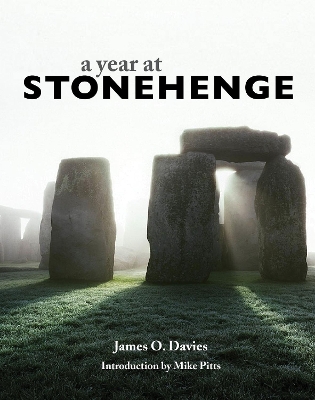 A Year at Stonehenge book