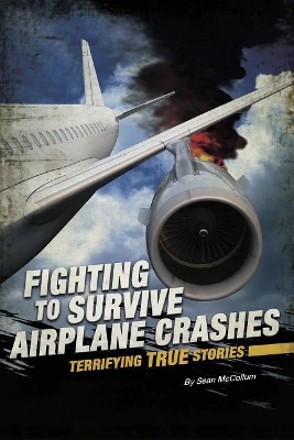 Fighting to Survive Airplane Crashes: Terrifying True Stories by Sean McCollum