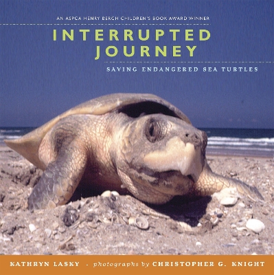 The Interrupted Journey by Kathryn Lasky